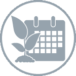 RAYN Calendar Plant