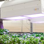 RAYN Growing Systems LED Grow Lights