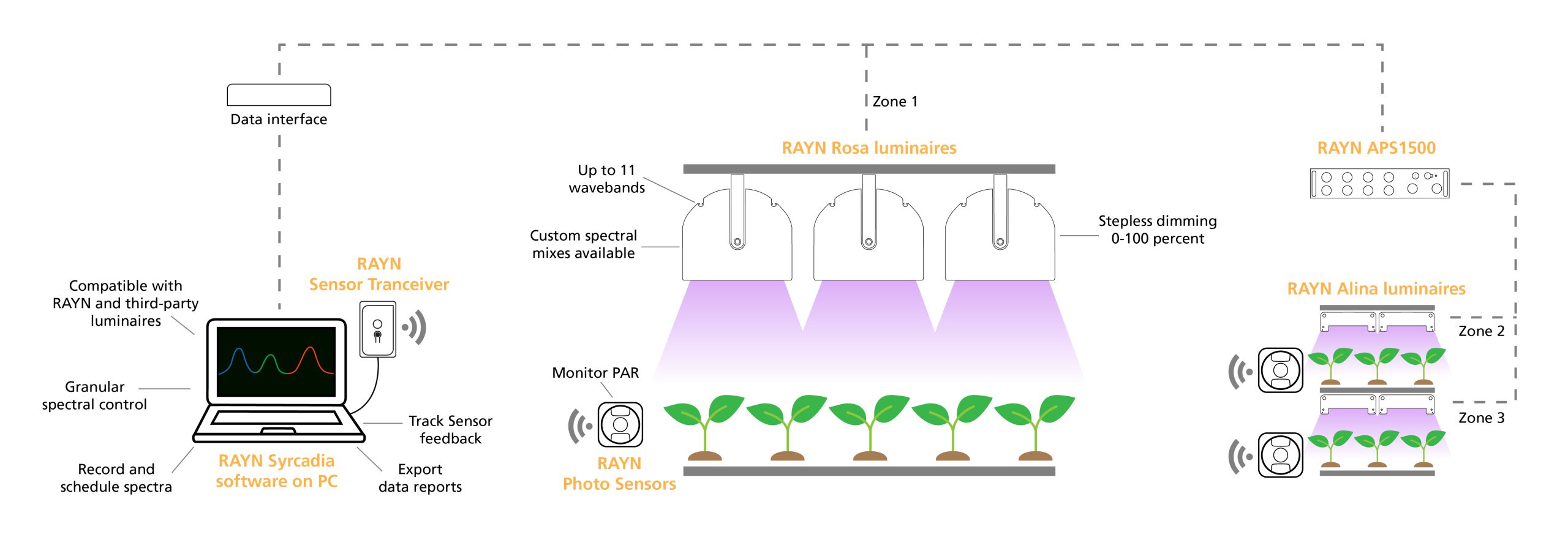  RAYN horticultural lighting systems