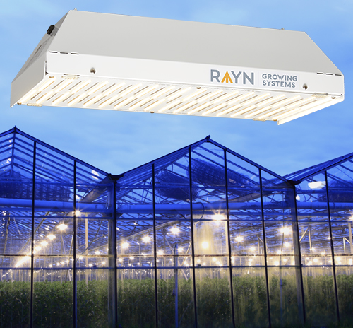 Rayn Fotono LED grow lights