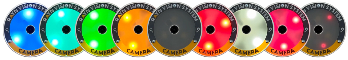 RAYN Vision Camera animation